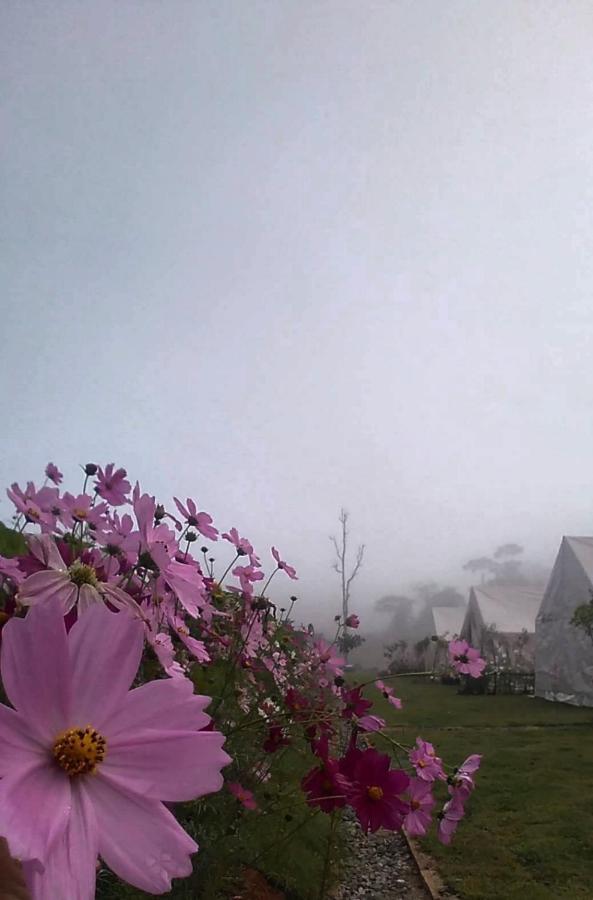 Lys I Dalen Resort&Camping Khao Kho Exterior foto